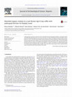 Research paper thumbnail of Absorbed organic residues in a Late Bronze Age II clay coffin with anthropoid lid from Tel Shadud, Israel