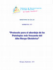 " PROTOCOLO PARA EL ABORDAJE DE LAS PATOLOGÍAS MAS FRECUENTE DEL ALTO RIESGO OBSTÉTRICO " MINISTERIO DE SALUD MINISTERIO DE SALUD NORMATIVA -077 " Protocolo para el abordaje de las Patologías más frecuente del Alto Riesgo Obstétrico " Cover Page