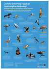 Research paper thumbnail of Gurindji Bird Poster