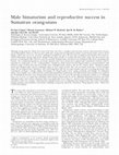 Research paper thumbnail of Male bimaturism and reproductive success in Sumatran orang-utans