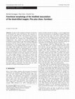 Functional morphology of the hindlimb musculature of the black-billed magpie, Pica pica (Aves, Corvidae) Cover Page