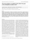 Research paper thumbnail of The axon-guidance roundabout gene alters the pace of the Drosophila circadian clock