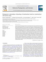 Research paper thumbnail of Phylogenetic relationships of glassfrogs (Centrolenidae) based on mitochondrial and nuclear genes