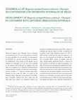 Research paper thumbnail of Desarrollo de Begonia semperflorens-cultorum ‘olympia’ en contenedor con diferentes intervalos de riego