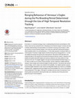 Research paper thumbnail of Ranging Behaviour of Verreaux's Eagles during the Pre-Breeding Period Determined through the Use of High Temporal Resolution Tracking