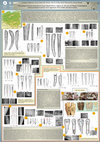 Research paper thumbnail of Processing of osseous materials in Linear Band Pottery Culture on the area of Poland. Technological, archaeozoological and use-wear approach. First results and observations (Poster)