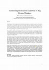 Research paper thumbnail of Harnessing the Elusive Expertise of Big Picture Thinkers