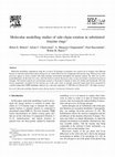 Research paper thumbnail of Molecular modelling studies of side-chain rotation in substituted triazine rings