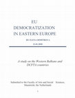 EU Democratization in Eastern Europe: A comparative case study on the Western Balkans and DCFTA countries Cover Page