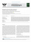 Research paper thumbnail of Management of house fly, Musca domestica L. (Muscidae: Diptera), through botanical baits