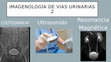 Research paper thumbnail of Imagenología de Vías Urinarias