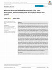 Research paper thumbnail of Revision of the pale-bellied Micronycteris Gray, 1866 (Chiroptera, Phyllostomidae) with descriptions of two new species