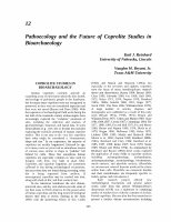 Research paper thumbnail of Pathoecology and the Future of Coprolite Studies in Bioarchaeology