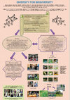 Research paper thumbnail of Diversity for Biodiversity