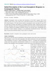 Research paper thumbnail of <strong>Initial Description of the Local Ionospheric Response to Geomagnetic Storms</strong>