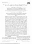 Research paper thumbnail of Reconstruction of an Early Permian, Sublacustrine Magmatic-Hydrothermal System: Mount Carlton Epithermal Au-Ag-Cu Deposit, Northeastern Australia