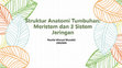 Research paper thumbnail of Struktur Anatomi Tumbuhan