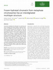 Research paper thumbnail of Frozen‐hydrated chromatin from metaphase chromosomes has an interdigitated multilayer structure