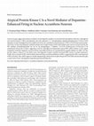 Atypical Protein Kinase C Is a Novel Mediator of Dopamine-Enhanced Firing in Nucleus Accumbens Neurons Cover Page