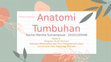 Research paper thumbnail of Anatomi Tumbuhan