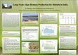 Research paper thumbnail of Large Scale Algae Biomass Production for Biofuels in India