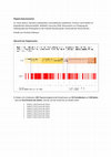 Research paper thumbnail of Dokumentation Plagiatsfall Bianca Herlo