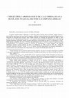 Research paper thumbnail of DAN APARASCHIVEI Cercetari arheologice la Ibida Les recherches archeologiques de Ibida Tulcea