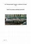 Research paper thumbnail of Les Anthropomorphes Rupestres Cruciformes en Europe V2