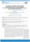 CANTARELLA E CAMBIANO: HISTORIOGRAFIA ESSENCIALISTA DO HOMOEROTISMO GREGO (Dossiê Gênero e violência na população LGBTTQIA no Brasil) - CANTARELLA AND CAMBIANO: ESSENTIALIST HISTORIOGRAPHY OF GREEK HOMOEROTISM. Cover Page