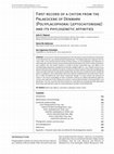 Research paper thumbnail of First record of a chiton from the Palaeocene of Denmark (Polyplacophora: Leptochitonidae) and its phylogenetic affinities