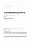 Research paper thumbnail of Flow Reorganization in an Anthropogenically Modified Tidal Channel Network: An Example from the Southwestern Ganges‐Brahmaputra‐Meghna Delta