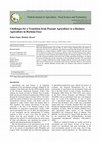 Research paper thumbnail of Challenges for a Transition from Peasant Agriculture to a Business Agriculture in Burkina Faso