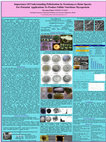 Research paper thumbnail of Importance of understanding pelletization in _Termitomyces heim_ species for potential applications to produce edible nutritious mycoprotein