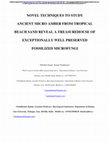 Research paper thumbnail of Novel Techniques to Study Ancient Micro Amber from Tropical Beach Sand Reveal a Treasurehouse of Exceptionally Well Preserved Fossilized Microfungi