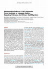 Research paper thumbnail of Inflammation-Induced CCR7 Oligomers Form Scaffolds to Integrate Distinct Signaling Pathways for Efficient Cell Migration