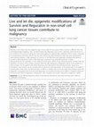 Research paper thumbnail of Live and let die: epigenetic modifications of Survivin and Regucalcin in non-small cell lung cancer tissues contribute to malignancy