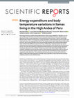 Research paper thumbnail of energy expenditure and body temperature variations in llamas living in the High Andes of peru