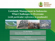 Research paper thumbnail of Lowlands Management in Indonesia: What Challenges to Overcome (with particular reference to peatlands)