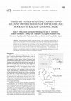 'This is my father's painting': A first-hand account of the creation of the most iconic rock art in Kakadu National Park Cover Page