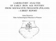 Research paper thumbnail of LABORATORY ANALYSIS OF EARLY IRON AGE POTTERY FROM SOCHACZEW-TROJANÓW (POLAND) - A BRIEF REPORT