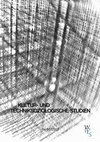 Research paper thumbnail of The Salton Sea – Eine rollentheoretische Analyse der Darstellung postmoderner Identität im Film