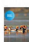 Research paper thumbnail of Waterbirds of Selected Wetlands of Uttarakhand