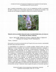 Research paper thumbnail of Relación entre las variables físicas del suelo y la productividad aérea y de raíces en una rotación de cultivos y pasturas