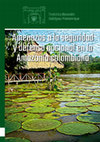 Research paper thumbnail of Amenazas a la seguridad y defensa nacional en la Amazonía colombiana