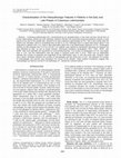 Research paper thumbnail of Characterization of the Histopathologic Features in Patients in the Early and Late Phases of Cutaneous Leishmaniasis