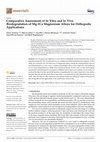 Research paper thumbnail of Comparative Assessment of In Vitro and In Vivo Biodegradation of Mg-1Ca Magnesium Alloys for Orthopedic Applications