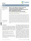 Research paper thumbnail of Nature of the different emissive states and strong exciton–phonon couplings in quasi-two-dimensional perovskites derived from phase-modulated two-photon micro-photoluminescence spectroscopy