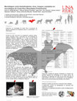 Research paper thumbnail of Murciélagos como bioindicadores: virus, hongos y parásitos en murciélagos de Costa Rica (Resultados Preliminares)