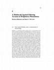 A Multiscale Spatial Filtering Account of Brightness Phenomena Cover Page