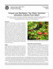 ‘Kilauea’ and ‘Red Button,’ Two ‘Ohelo, Vaccinium reticulatum, Cultivars from Hawai‘i Cover Page